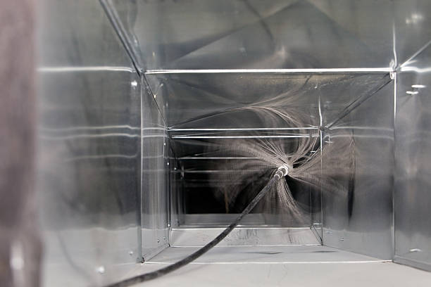 Best Professional Duct Cleaning Services  in Cedar Lake, IN
