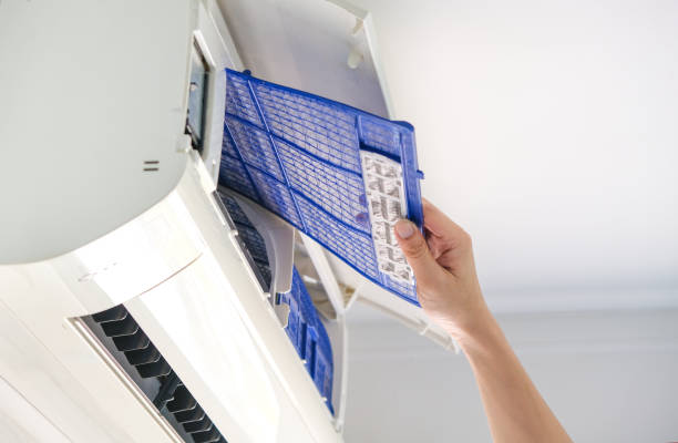 Best Duct Cleaning Specialists  in Cedar Lake, IN