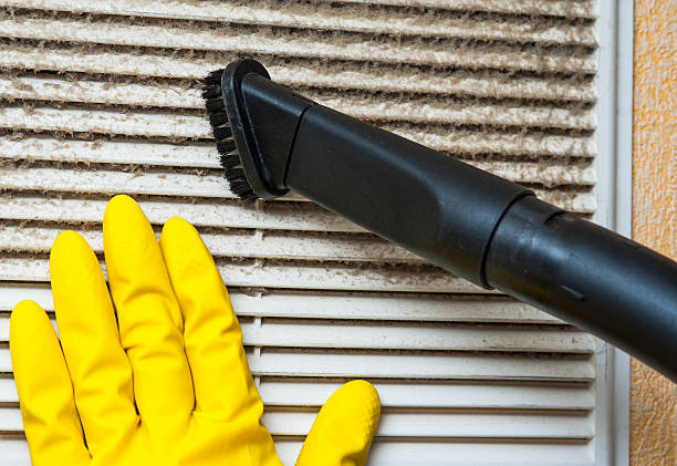 Best Ductwork Cleaning Services  in Cedar Lake, IN